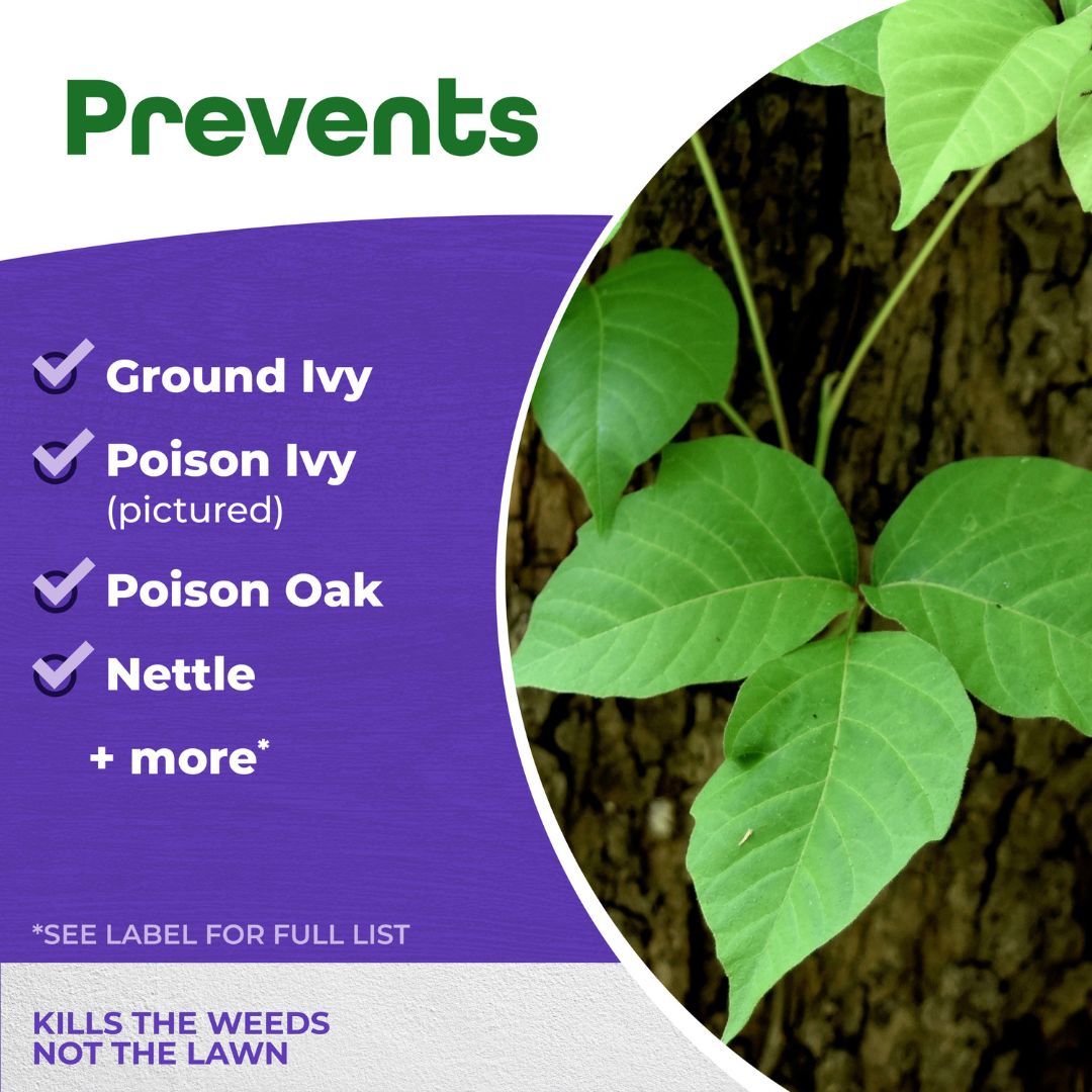 Poison Ivy & Oak Killer Spray- Bonide – 32 oz